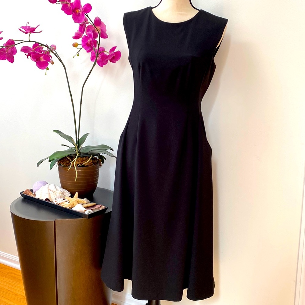 Black flare dress.  Fitted on top.